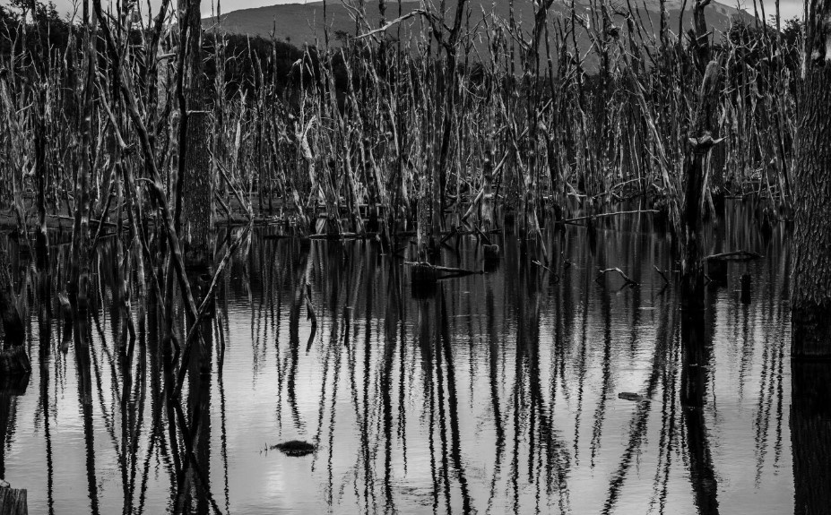    фото: фрипик