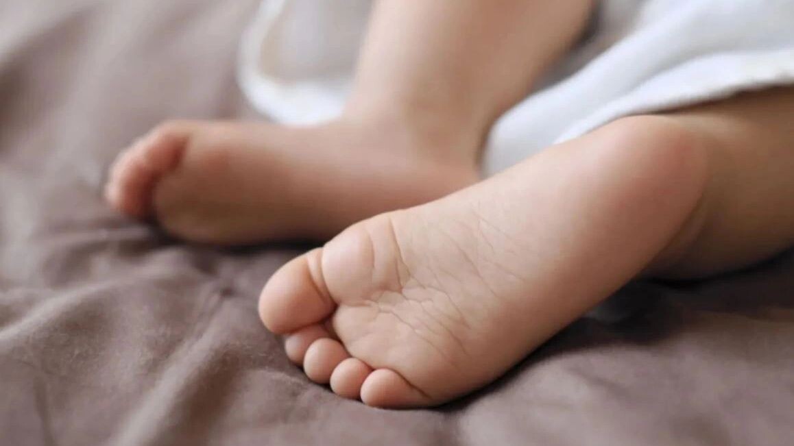    Фото: tnehala77/Shutterstock/Fotodom