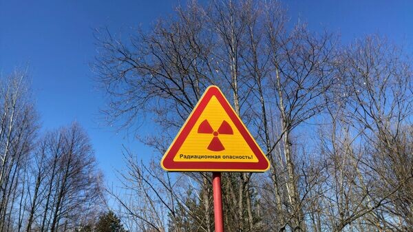    © Sputnik / Денис Кошелев