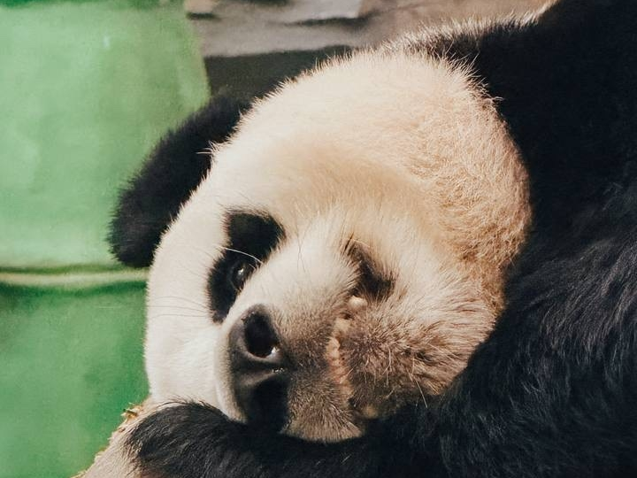 Китай. Самый топ День 6/12