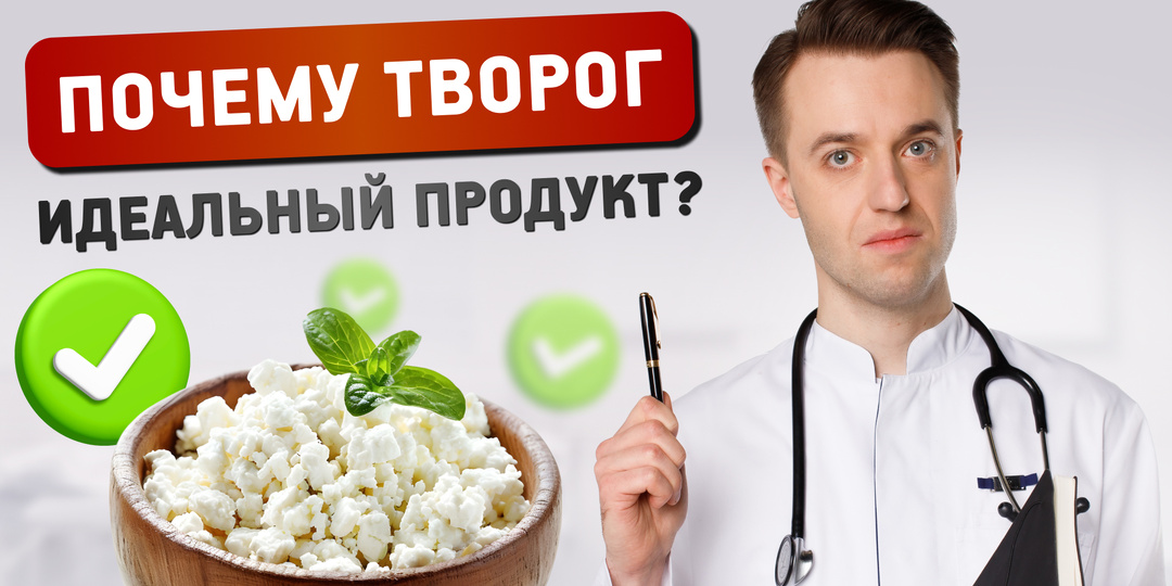 Творог: древний суперфуд под микроскопом науки