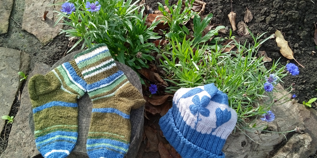 На пороге зимы: цветочки и носочки