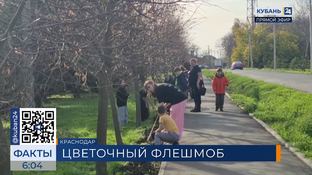    Скриншот видео телеканала «Кубань 24»