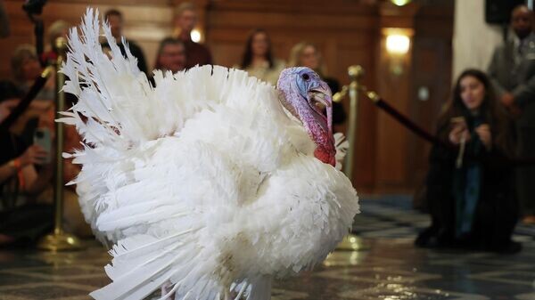    © Getty Images / Anna Moneymaker