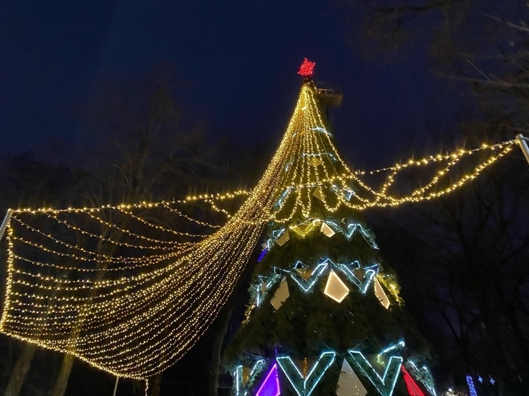     Фото: "МК в Калуге"