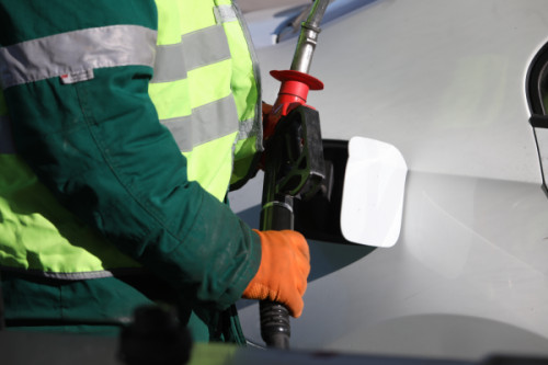 Роман Пименов / «Петербургский дневник»