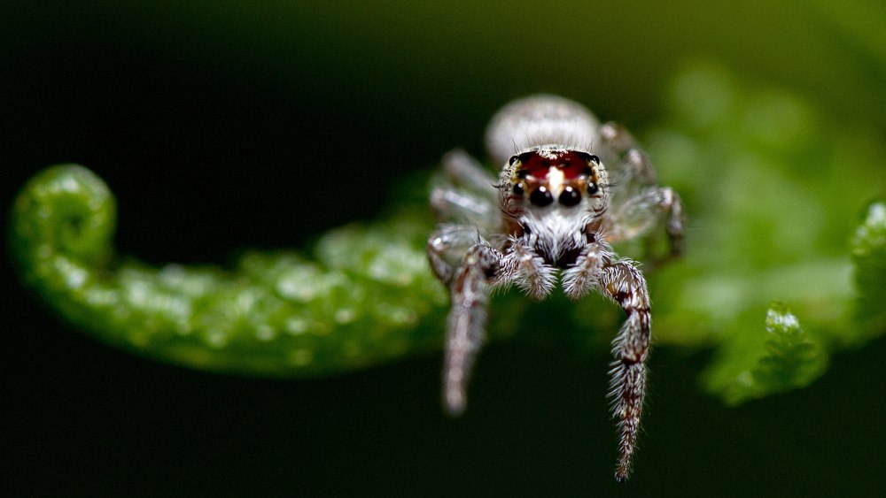 "Привет. Что смотришь?"