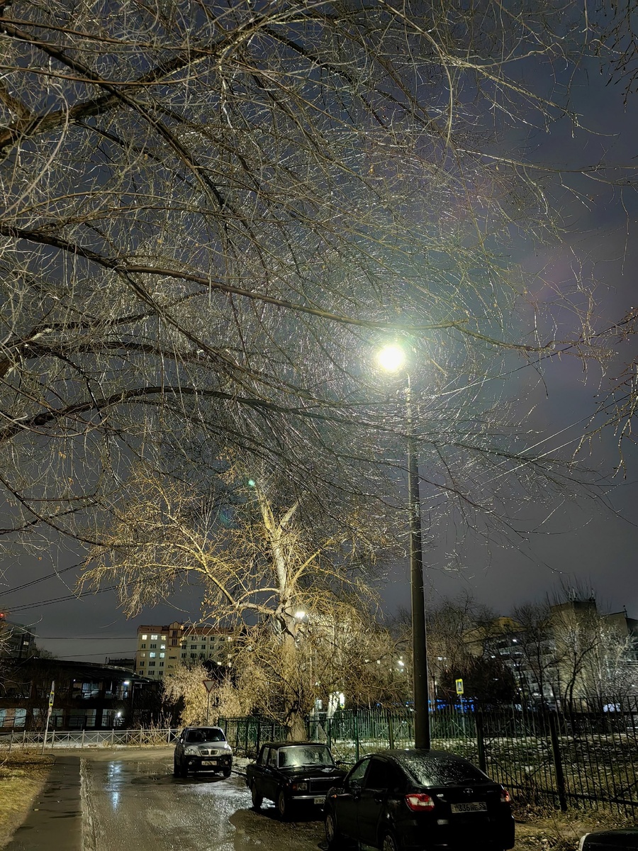 Выхожу из дома. Заспанный, помятый. А надо мной фонарь, "запутавшийся в паутине" веток. 