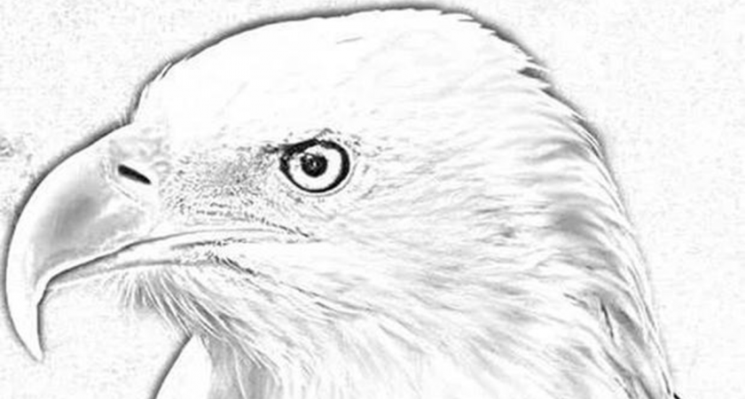    10 секунд и одна ловушка: сможете ли вы разглядеть человека на картинке, как это сделали 2 % людей?