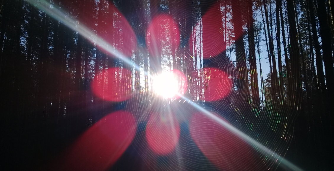    Фото: НИА "Экология"