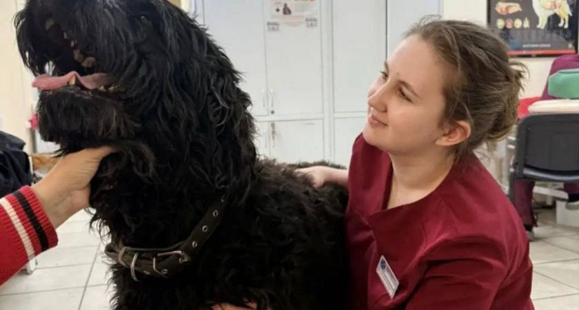    В Иркутской области завершилась масштабная диспансеризация домашних животных