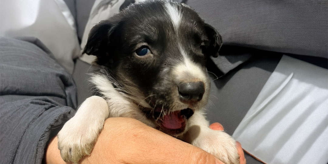 Есть ради кого жить