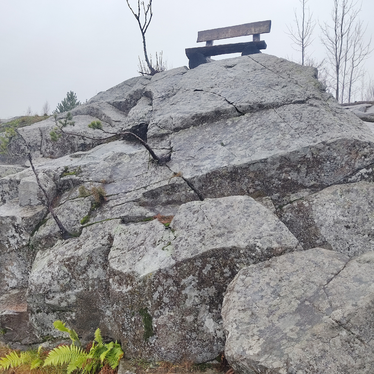 Сон про трамвай