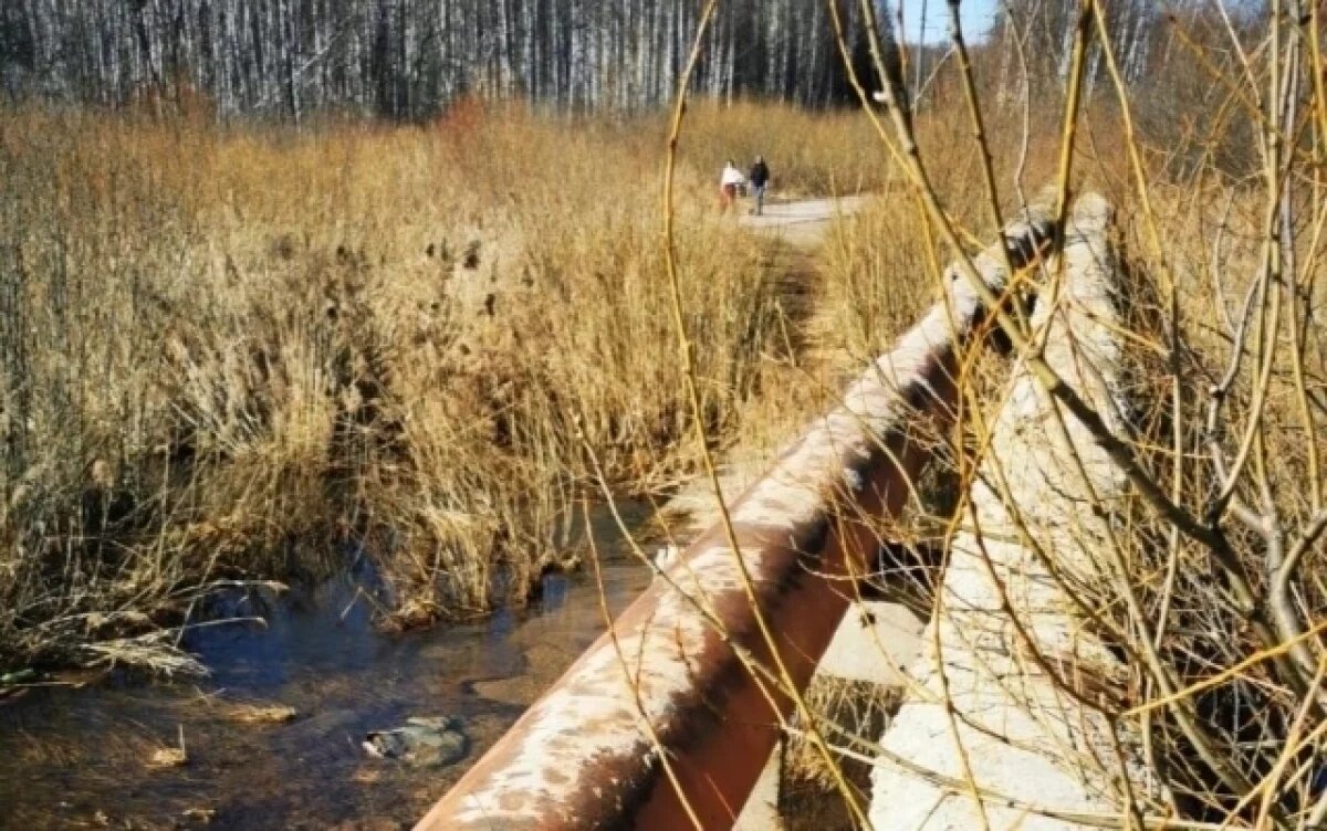    Вода лучше катка!