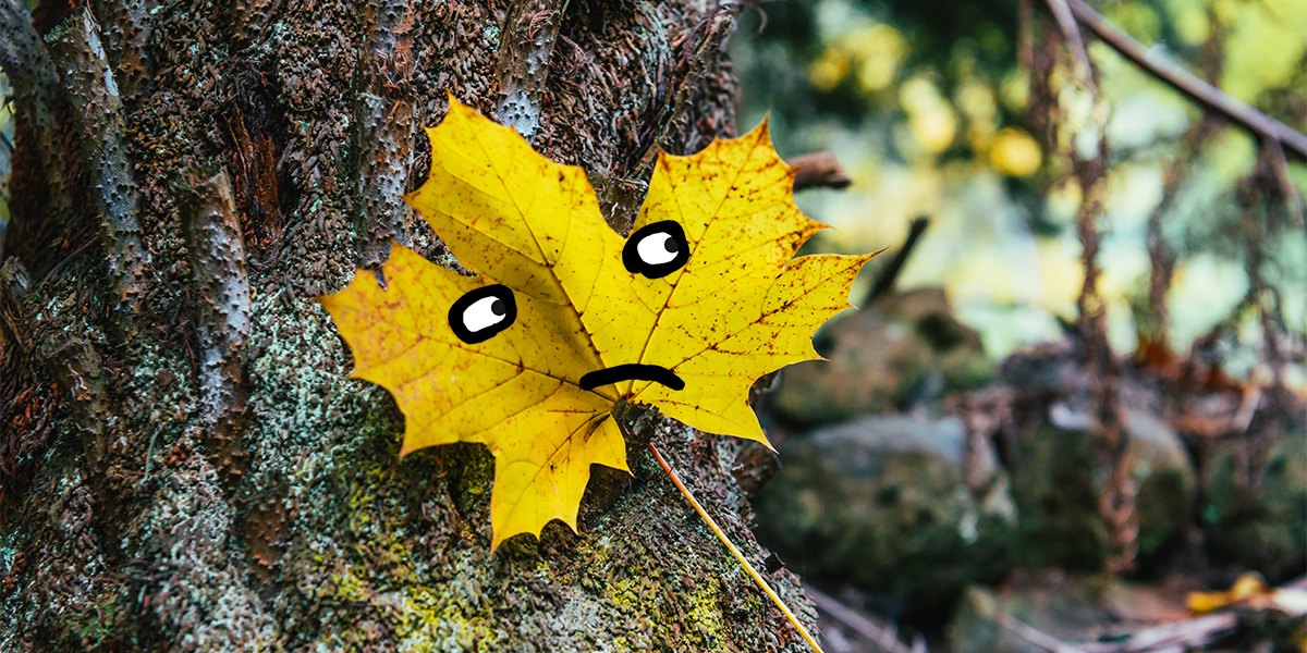 Источник: https://ru.freepik.com/