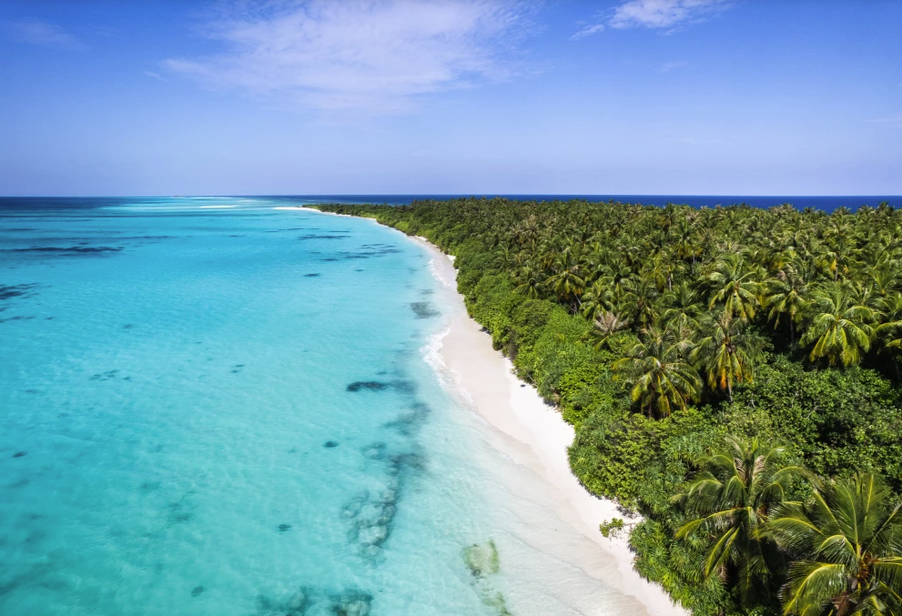 Источник: вОтпуск.ру