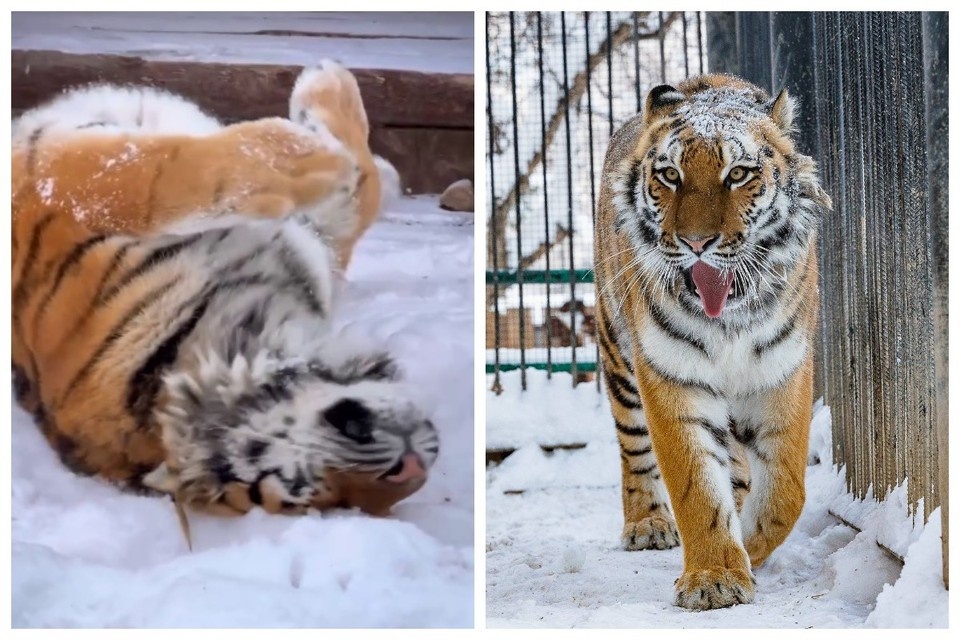    Фото: "Роев ручей"