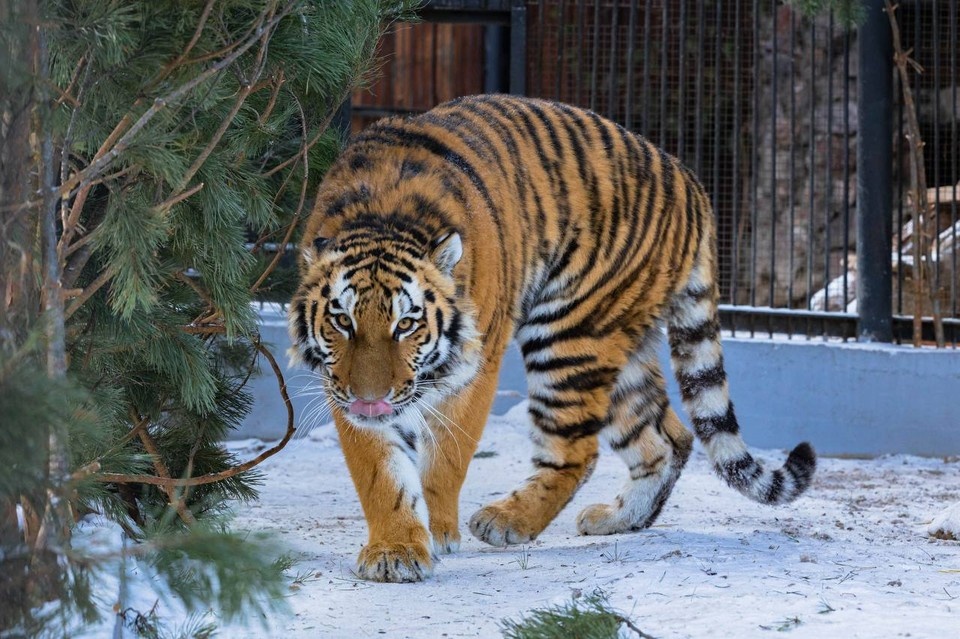    Фото: "Роев ручей"