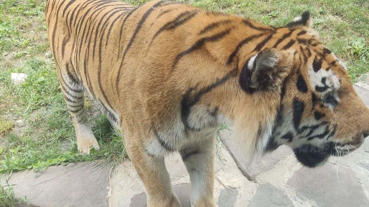    Фото: телеканал «Краснодар»