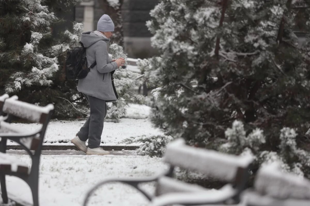    До -3 градусов прогнозируется в Псковской области 25 ноября