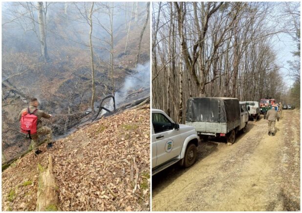    прокуратура Краснодарского края