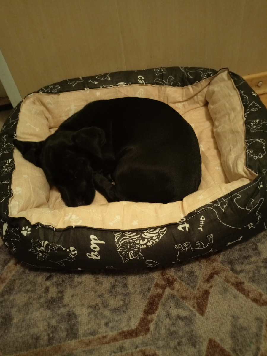 Фото сделано автором канала