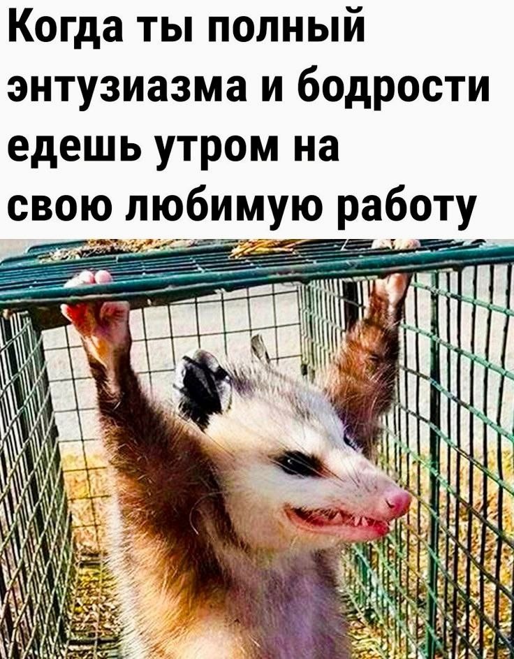 Вот прям я в автобусе на этой неделе. С просторов интернета