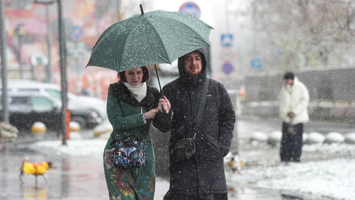    Фото: ИЗВЕСТИЯ/Андрей Эрштрем