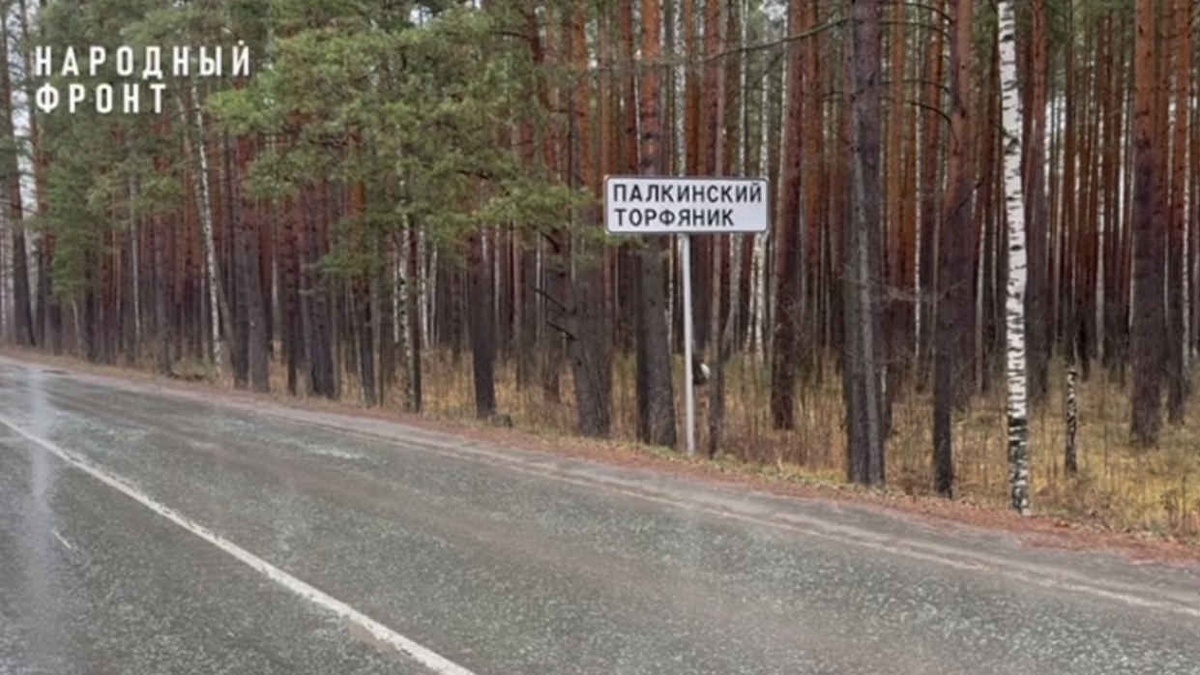    Народный фронт