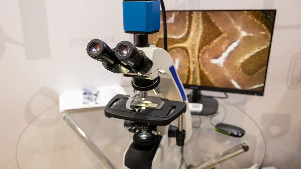    Фото: Федор Воронов / «Ямал-Медиа»