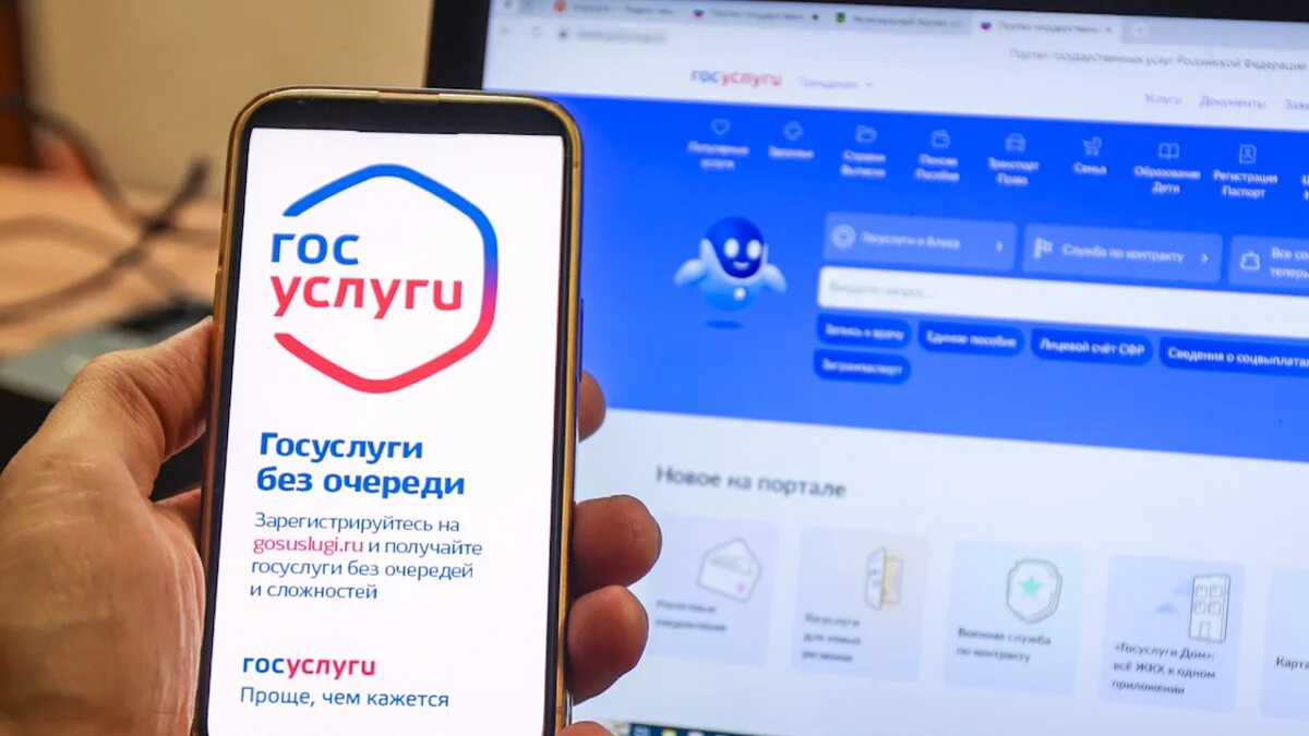 Россиян заставят выходить в интернет через Госуслуги