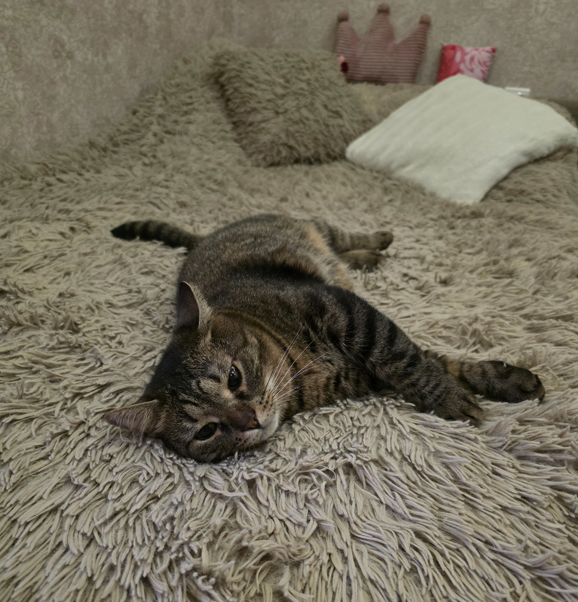 Наш Прасик болеет