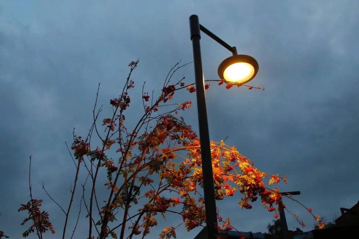    Жильцы тюменского ЖК несколько дней живут без уличного освещения