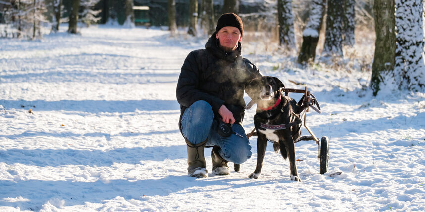    Пёс Богор получил новую жизньАлёна Бобрович