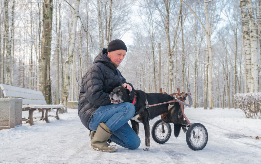    Алёна Бобрович