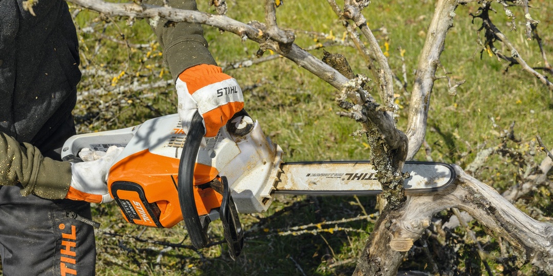 Какую выбрать аккумуляторную пилу для сада