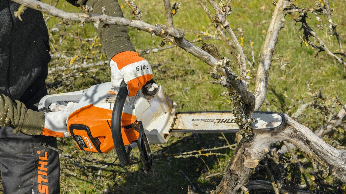 Работы в саду