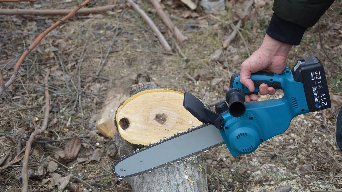 Распил старой яблони