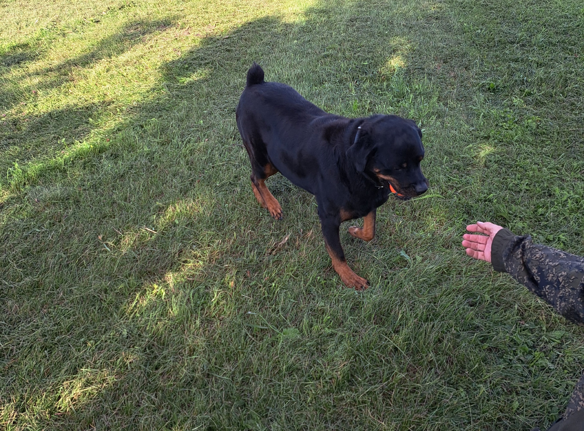 фото из личного архива