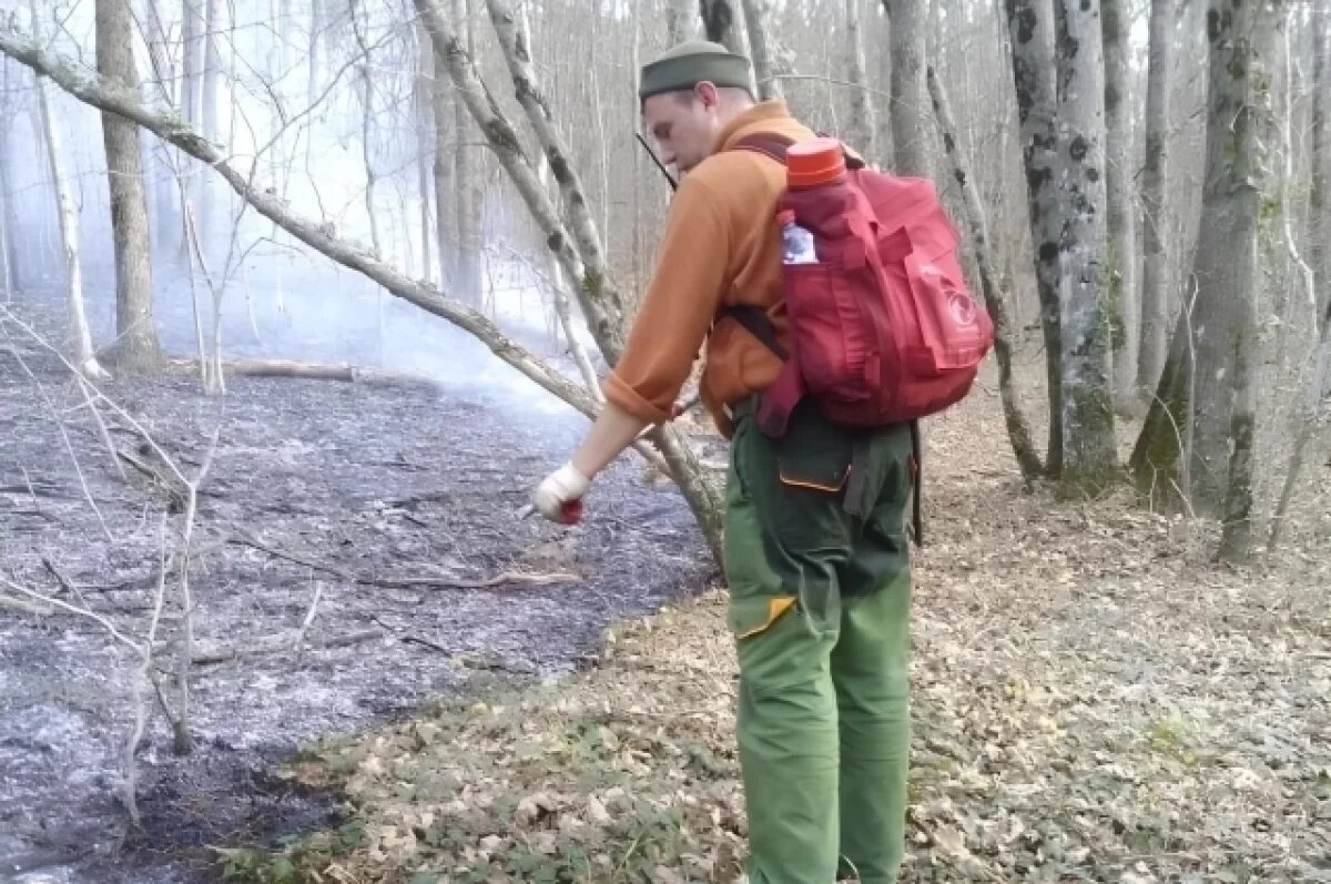    Борьба с этими ноябрьскими пожарами осложнялась труднодоступностью местности во многих местах и ветром.