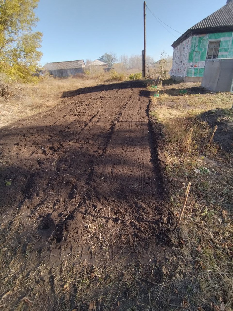 Первый сезон после раскорчевки мы просто копали грядки, лопатой. Эта полоса стала первой, которую распахали.