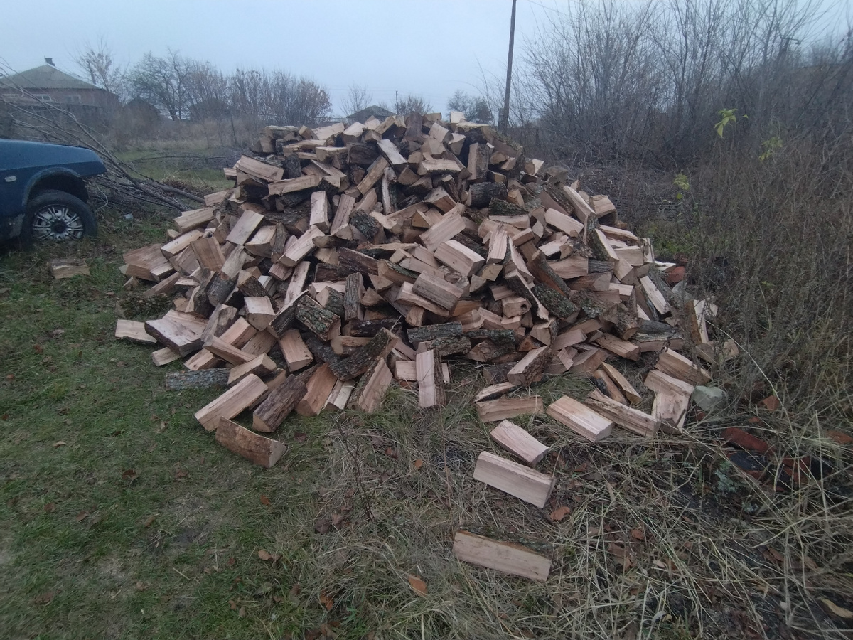 Вот здесь, справа от дров, видно - сплошные заросли.