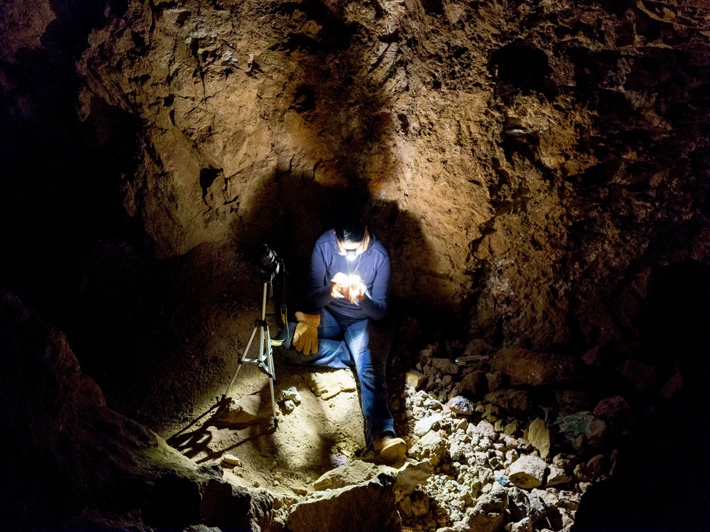    изображение от freepik