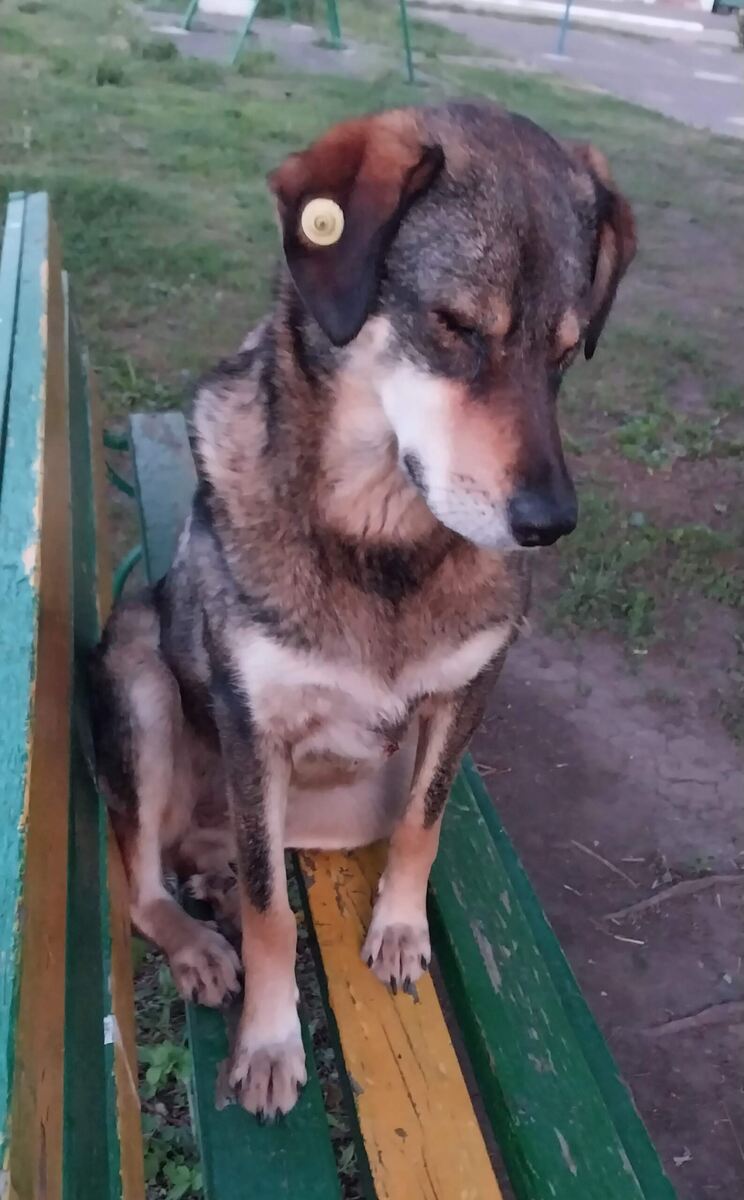 Фото из архива волонтёров