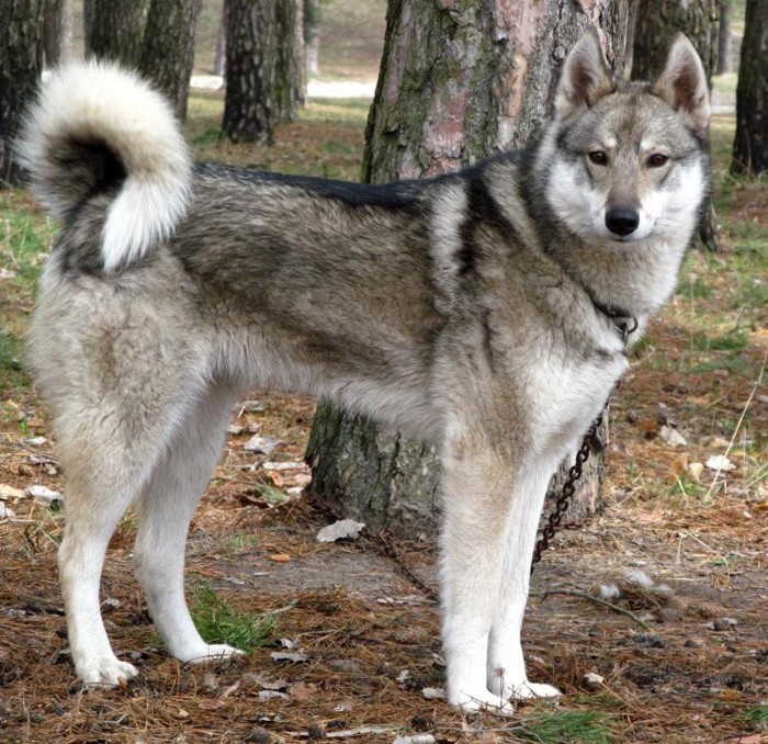 фото: uahunter.com