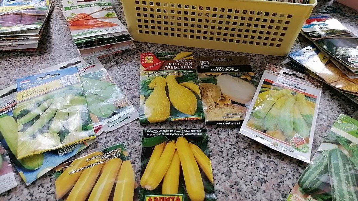 Семена кабачков, фото автора