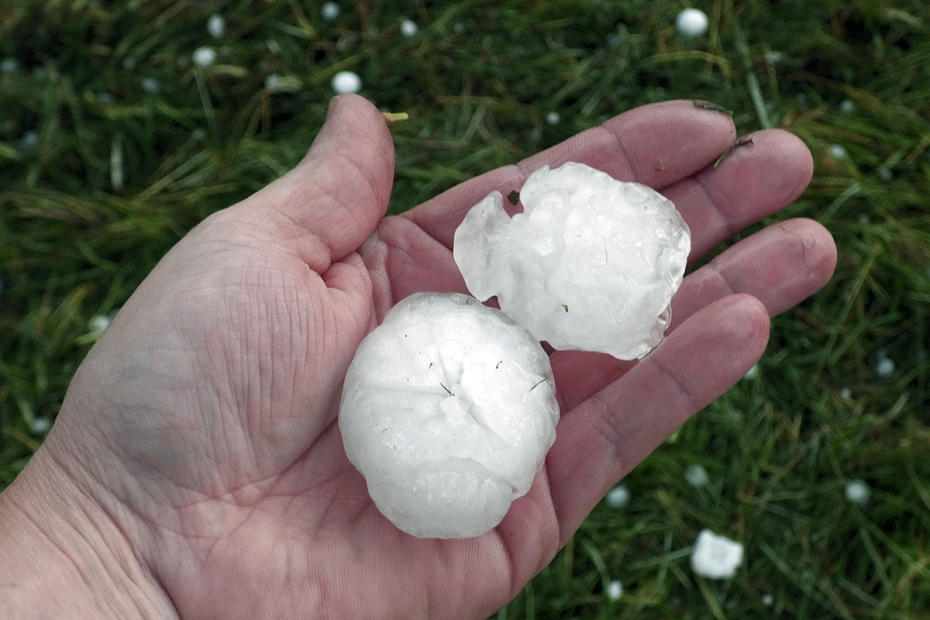    IMAGO/Bernd MŠrz/Global Look Press