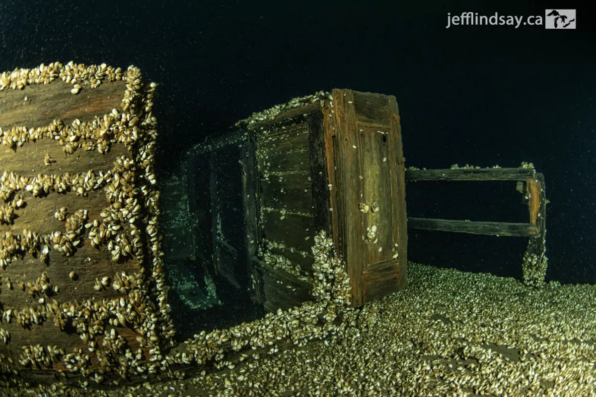 Большая часть корабля осталась совершенно целой – даже дерево.