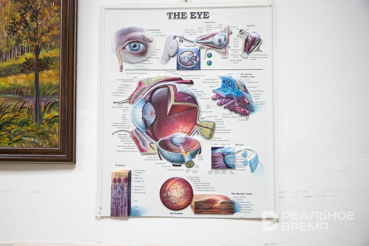   Руслан Ишмухаметов / realnoevremya.ru