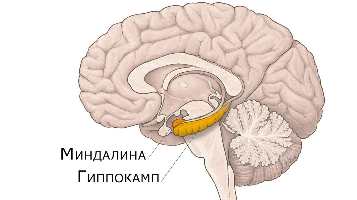 логопед - нейропсихолог Юлия Чеснокова